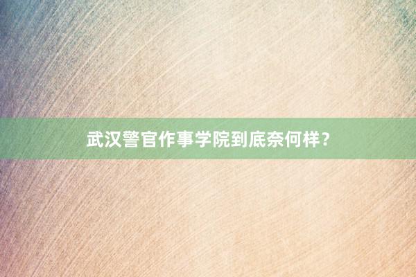 武汉警官作事学院到底奈何样？