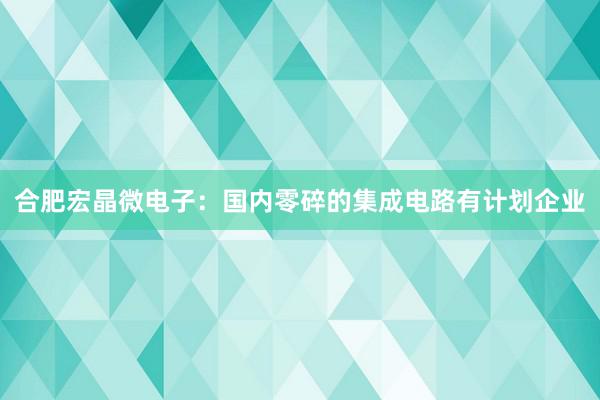 合肥宏晶微电子：国内零碎的集成电路有计划企业