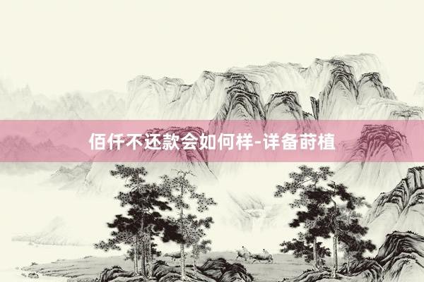 佰仟不还款会如何样-详备莳植